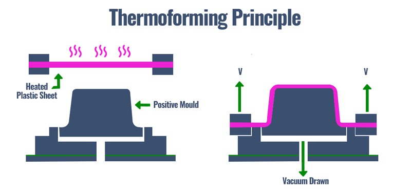 Thermoforming and Vacuum Forming