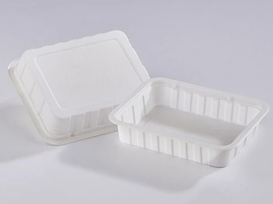 Thermoforming and Vacuum Forming